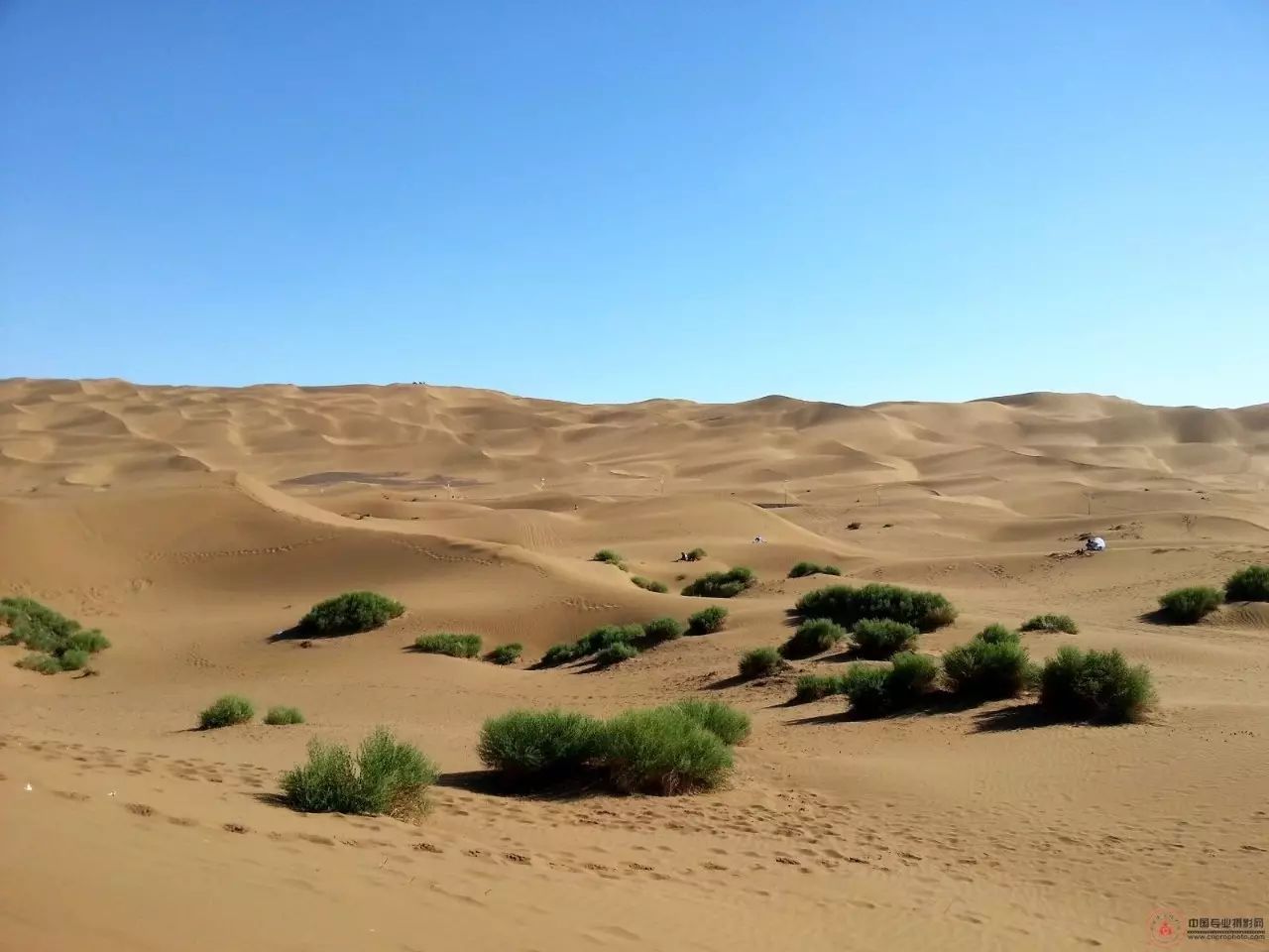 雕塑之魂：從干裂的土地上，尋找生命的意義