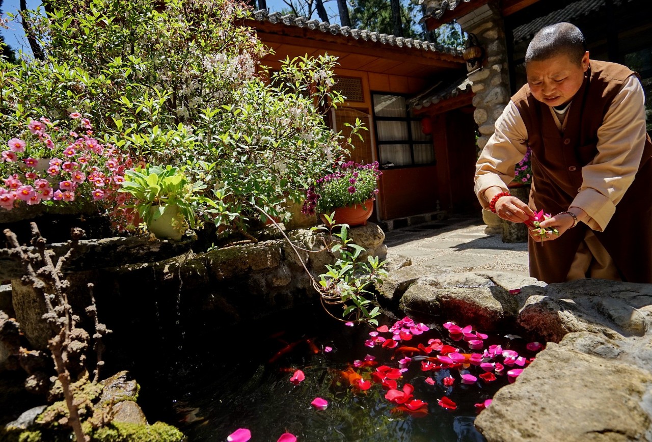 寂照庵--中國(guó)最文藝尼姑庵：心若無(wú)塵一花一世界