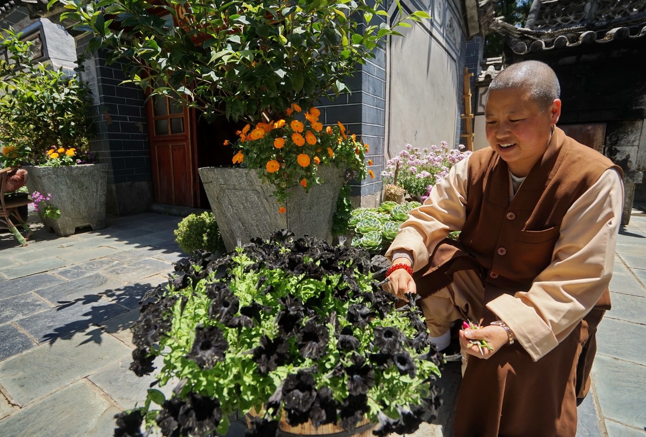 寂照庵--中國最文藝尼姑庵：心若無塵一花一世界