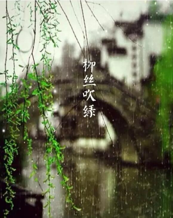 雨水：天生一水，散而為雨