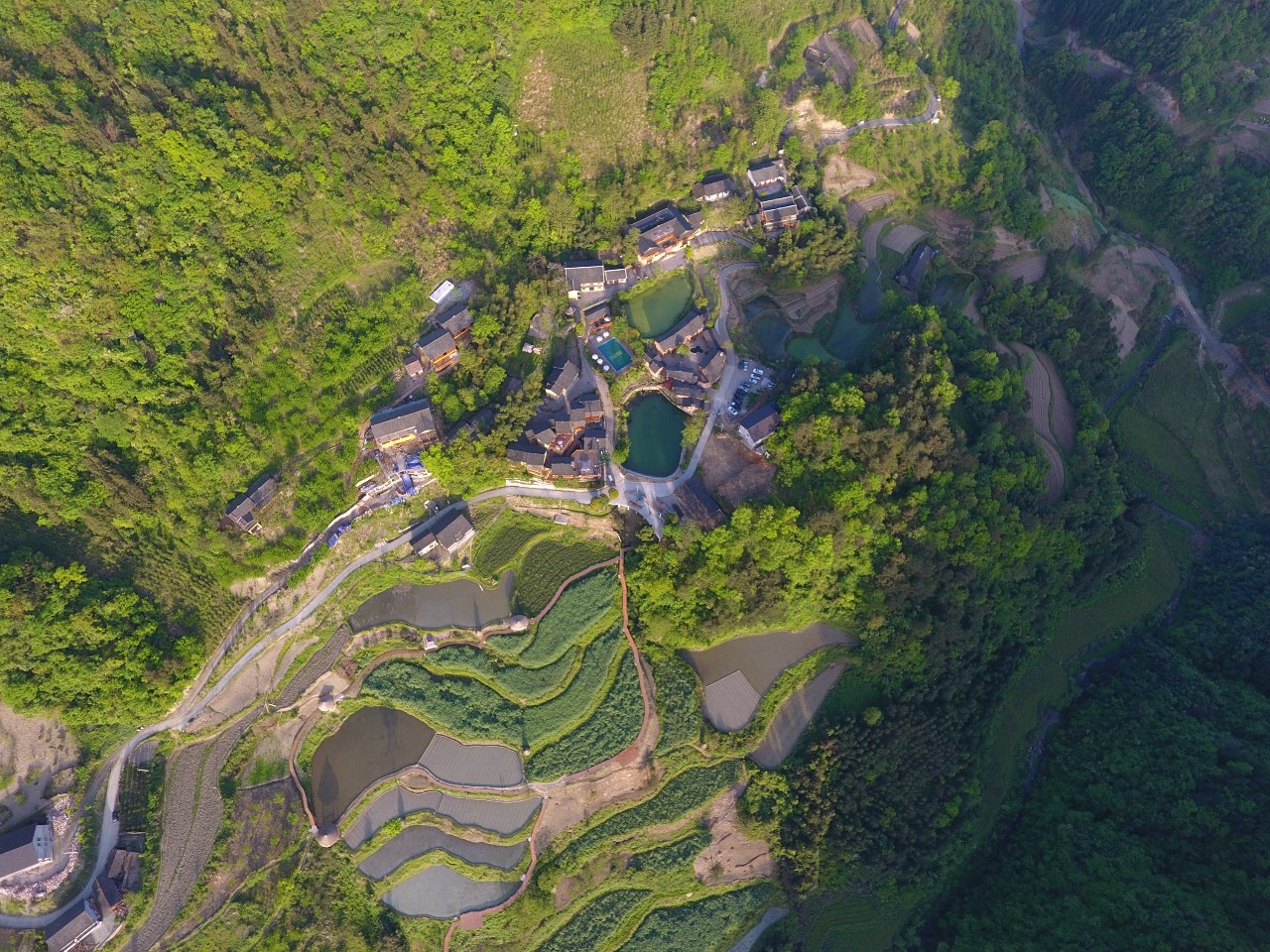 張家界·五號山谷，山谷在重生！