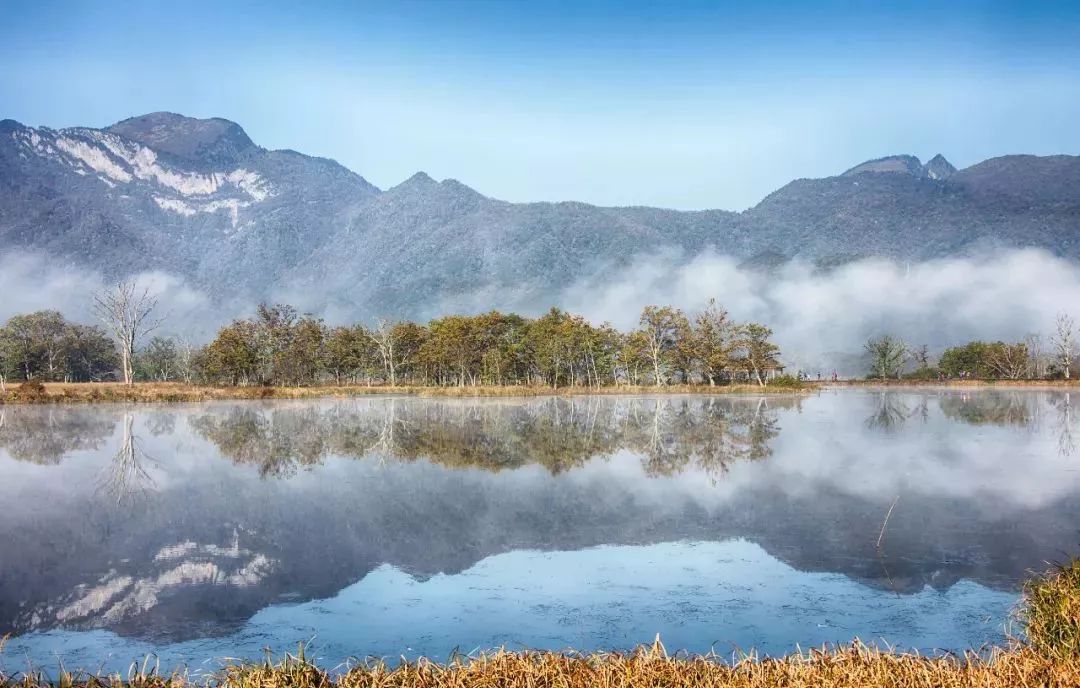 西顧·望城山居，闖入仙境等待一場花開的心動