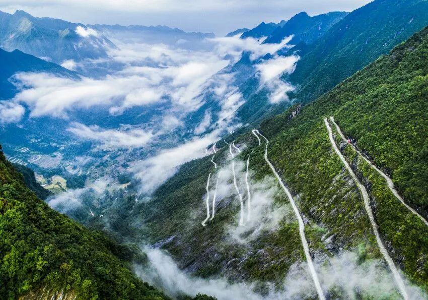 西顧·望城山居，闖入仙境等待一場花開的心動