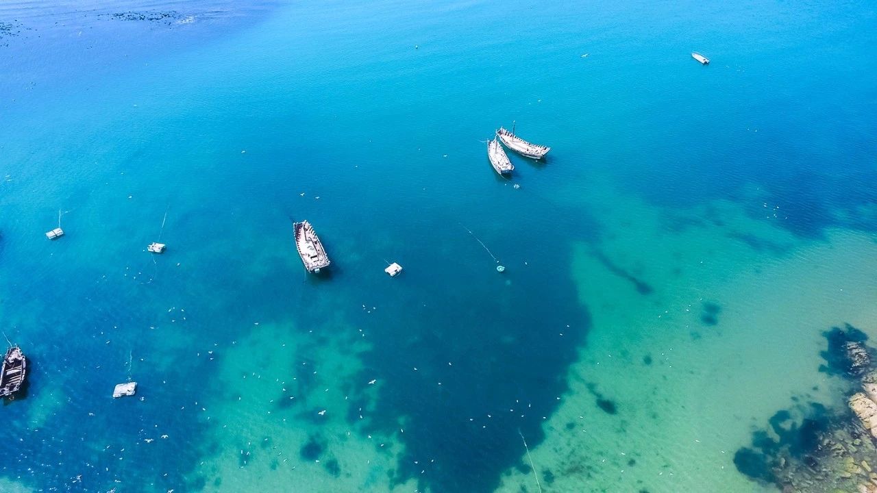 青島·瑞宿海棲，等你來(lái)就讓瑞宿帶你環(huán)游青島