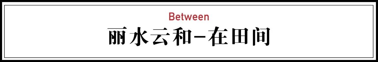 麗水云和·在田間，中國(guó)傳統(tǒng)水墨山水的意境