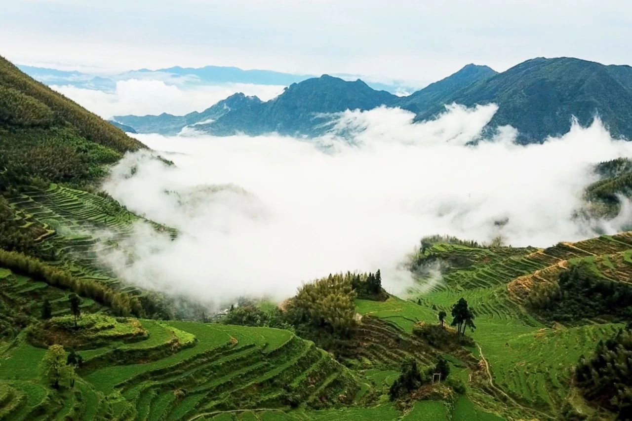 麗水云和·在田間，中國(guó)傳統(tǒng)水墨山水的意境