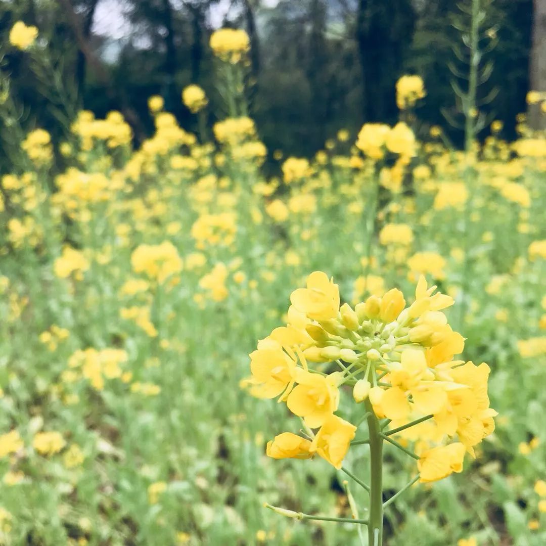 莫干山·梵谷，回歸自然的日子才是最難得