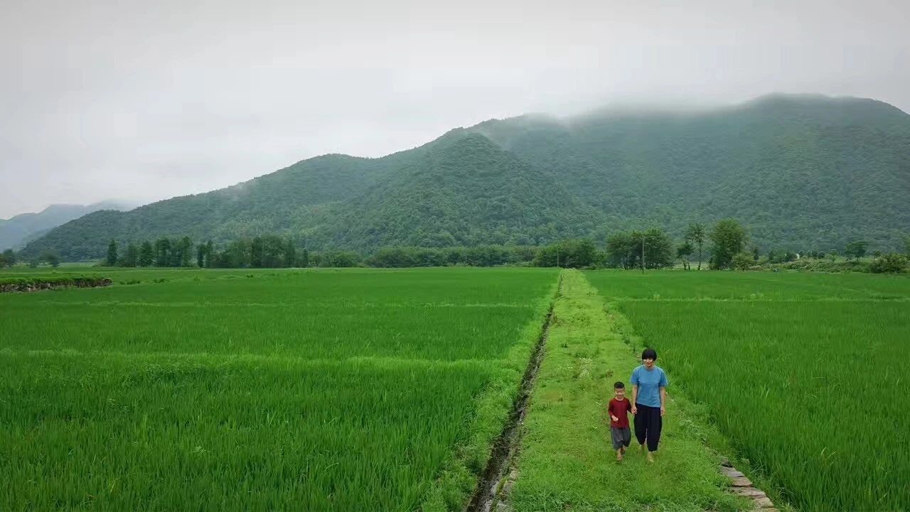 臺(tái)州臨?！げ菟蓿亲永锪魈实泥l(xiāng)愁烙印