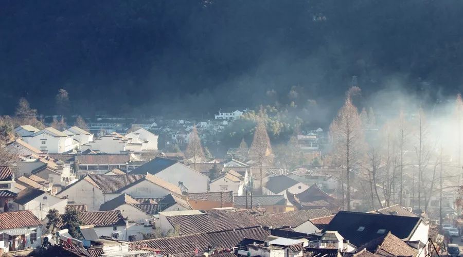 九華山·清竹里，延續(xù)和分享茶文化禪文化