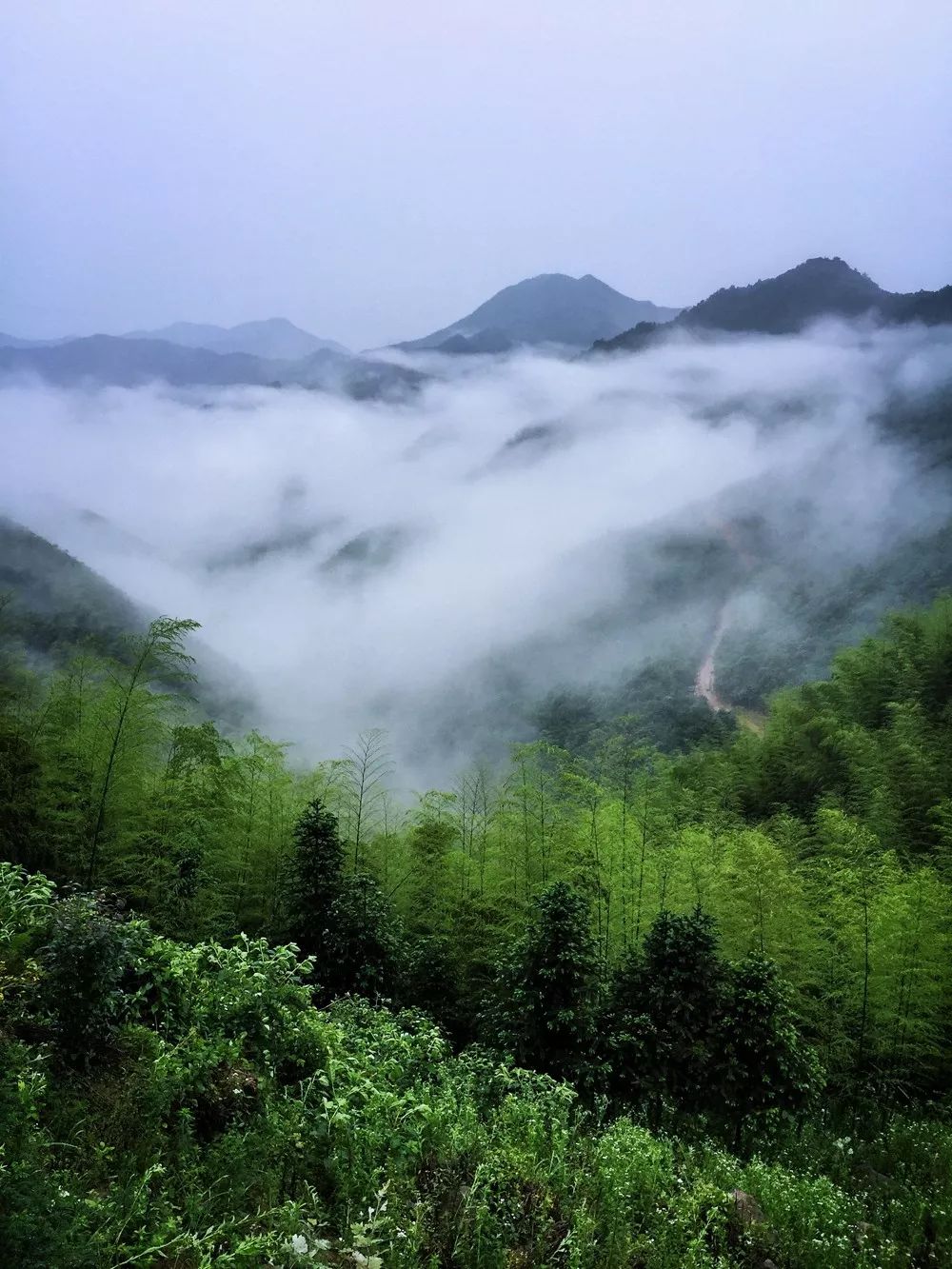 過云山居·長丘田，躺在浴缸里摘朵云