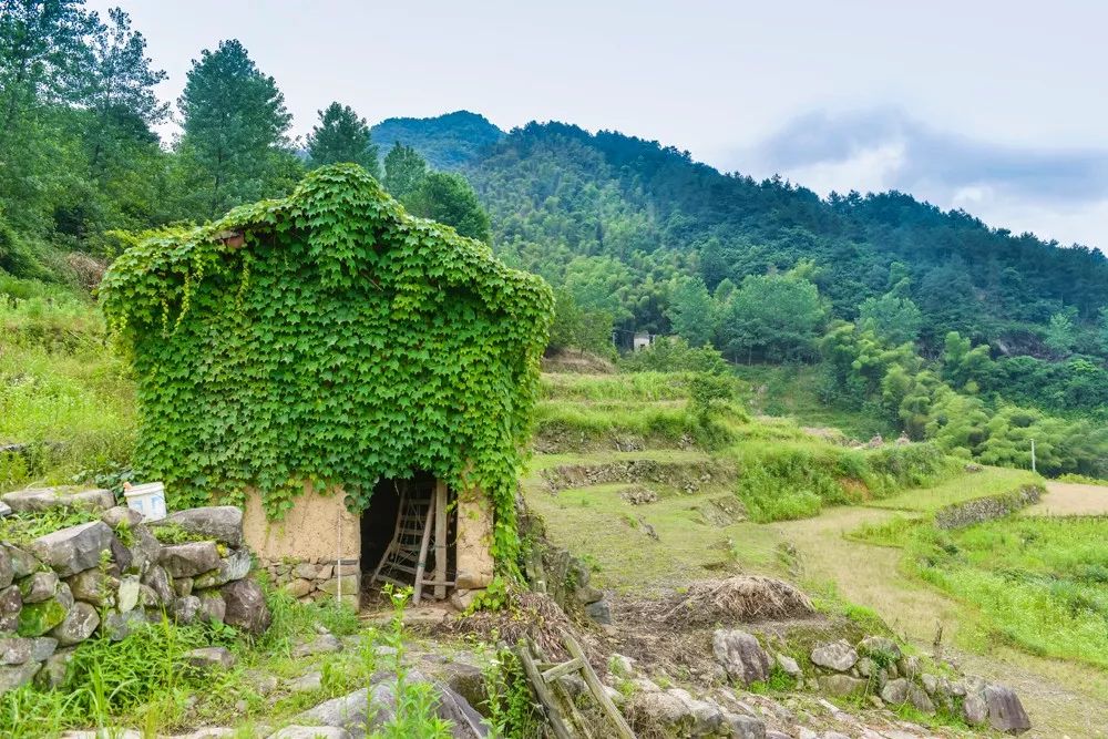 過云山居·長丘田，躺在浴缸里摘朵云