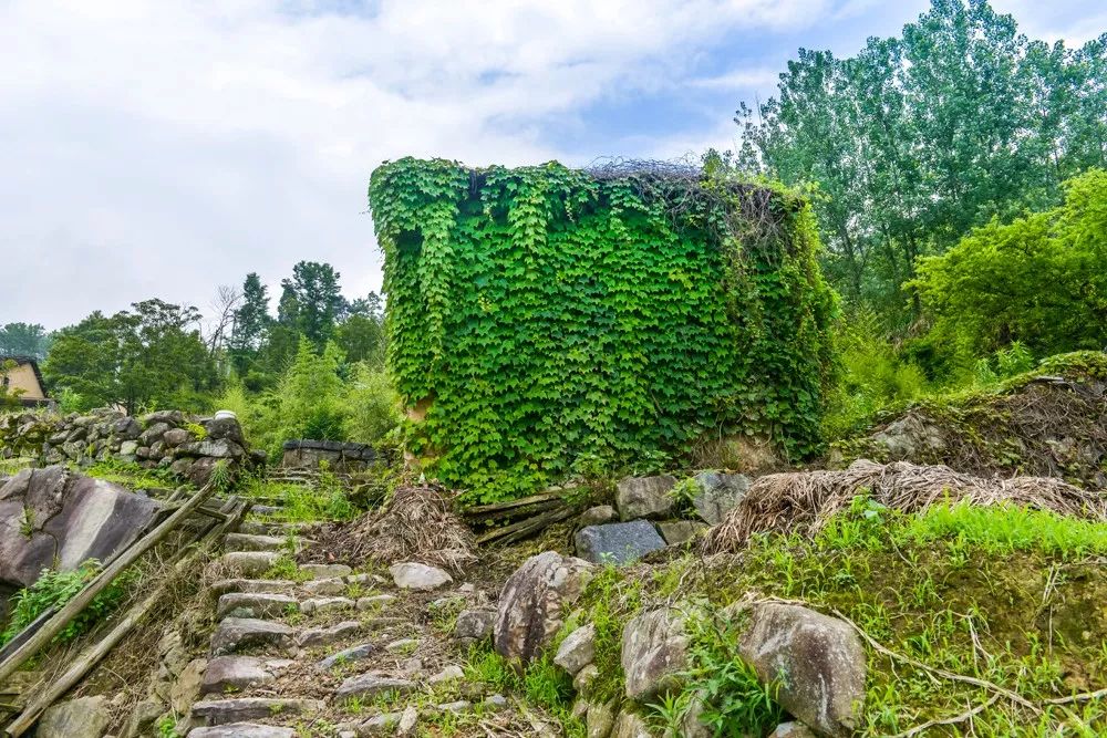 過云山居·長丘田，躺在浴缸里摘朵云