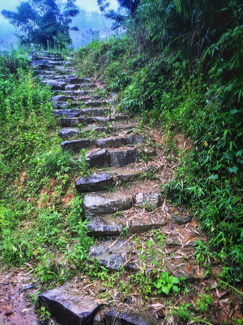 過云山居·長丘田，躺在浴缸里摘朵云