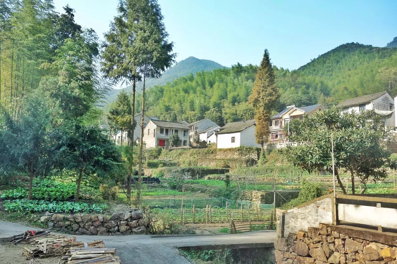 莫干山·宿里，一處桃花源建一處詩(shī)意棲居之所