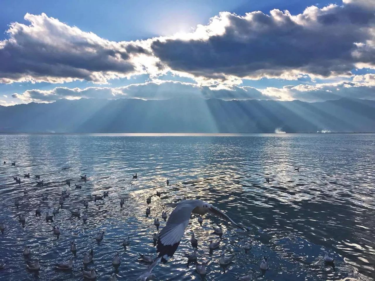 大理慢境·海景藝術(shù)客棧，海邊的微風(fēng)陽(yáng)光