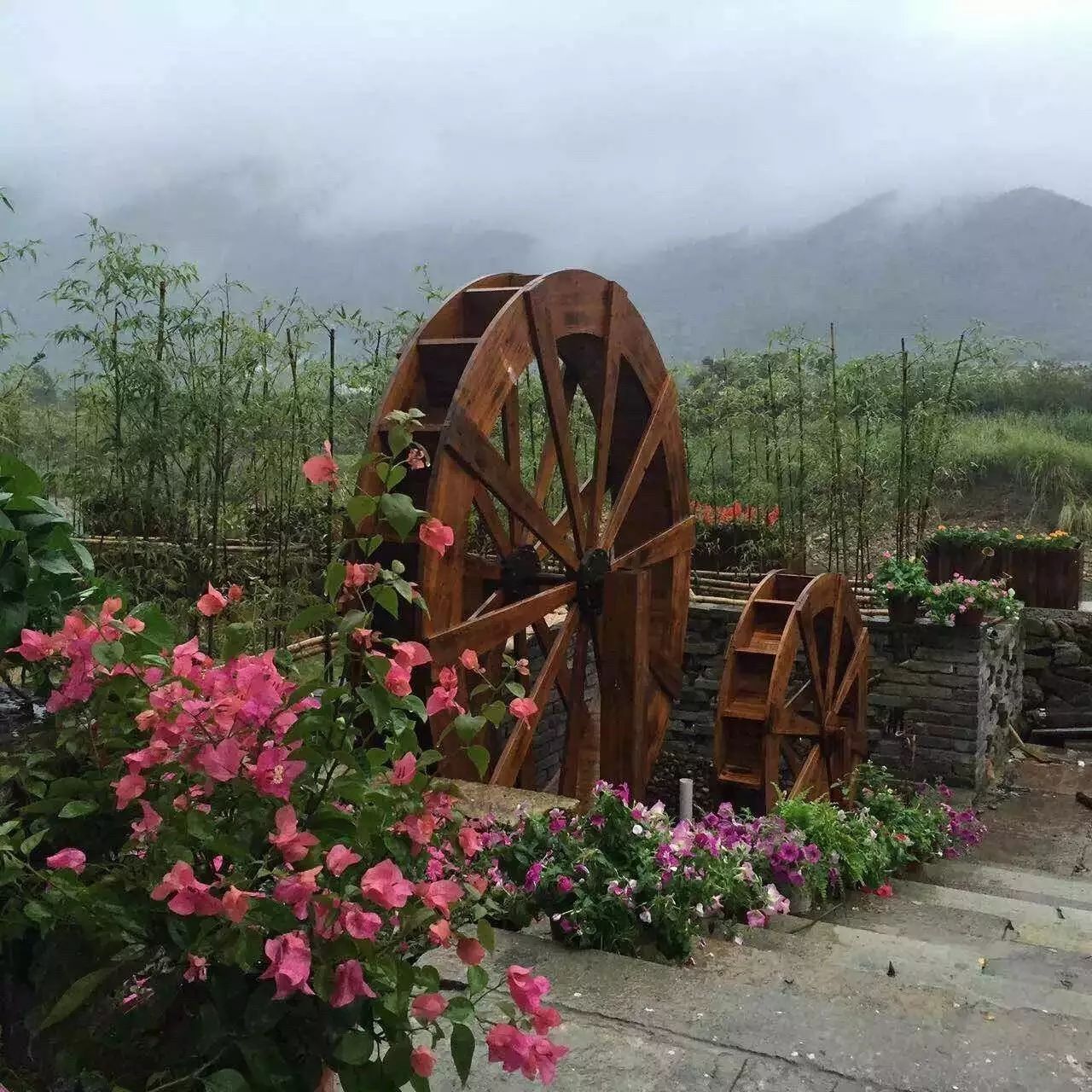 寧波·花雨醉，品花間一壺酒聽(tīng)雨后醉朦朧