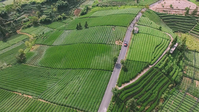 麗水·浮光，浮光指路茶香入夢(mèng)蓋一間湖畔大學(xué)