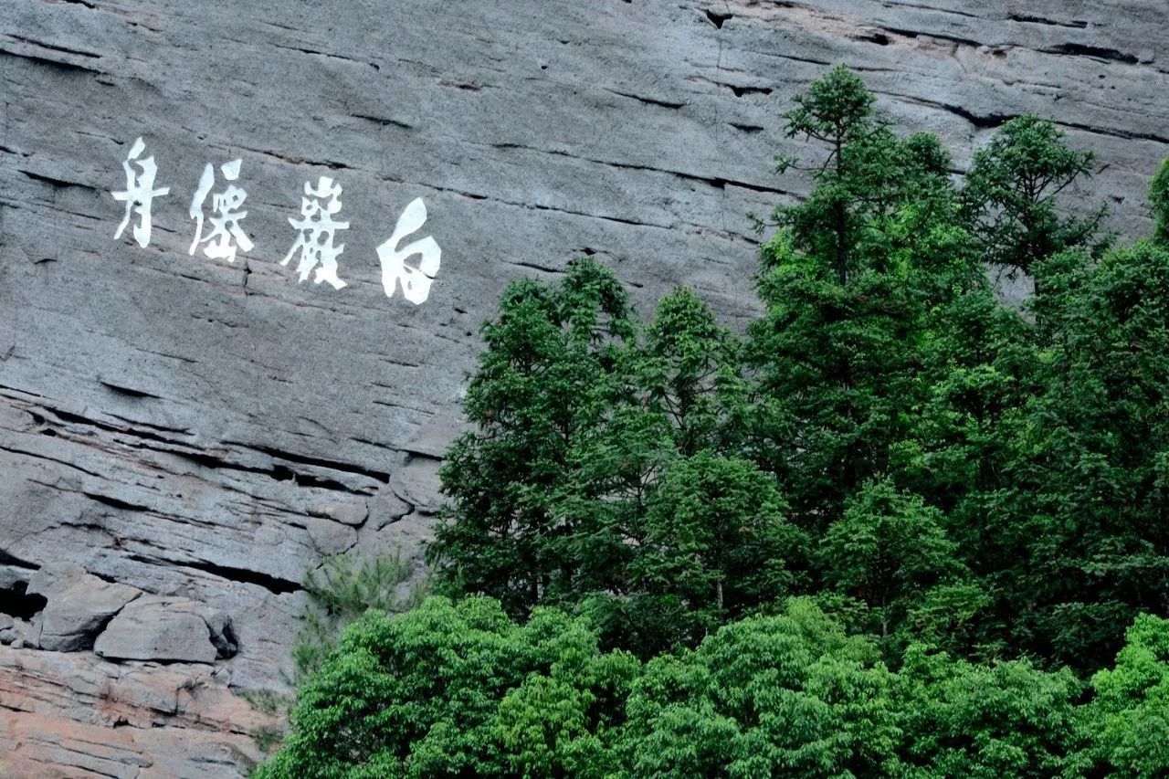 武夷山·山玖如意莊，一杯清茶一萬(wàn)個(gè)品茶人