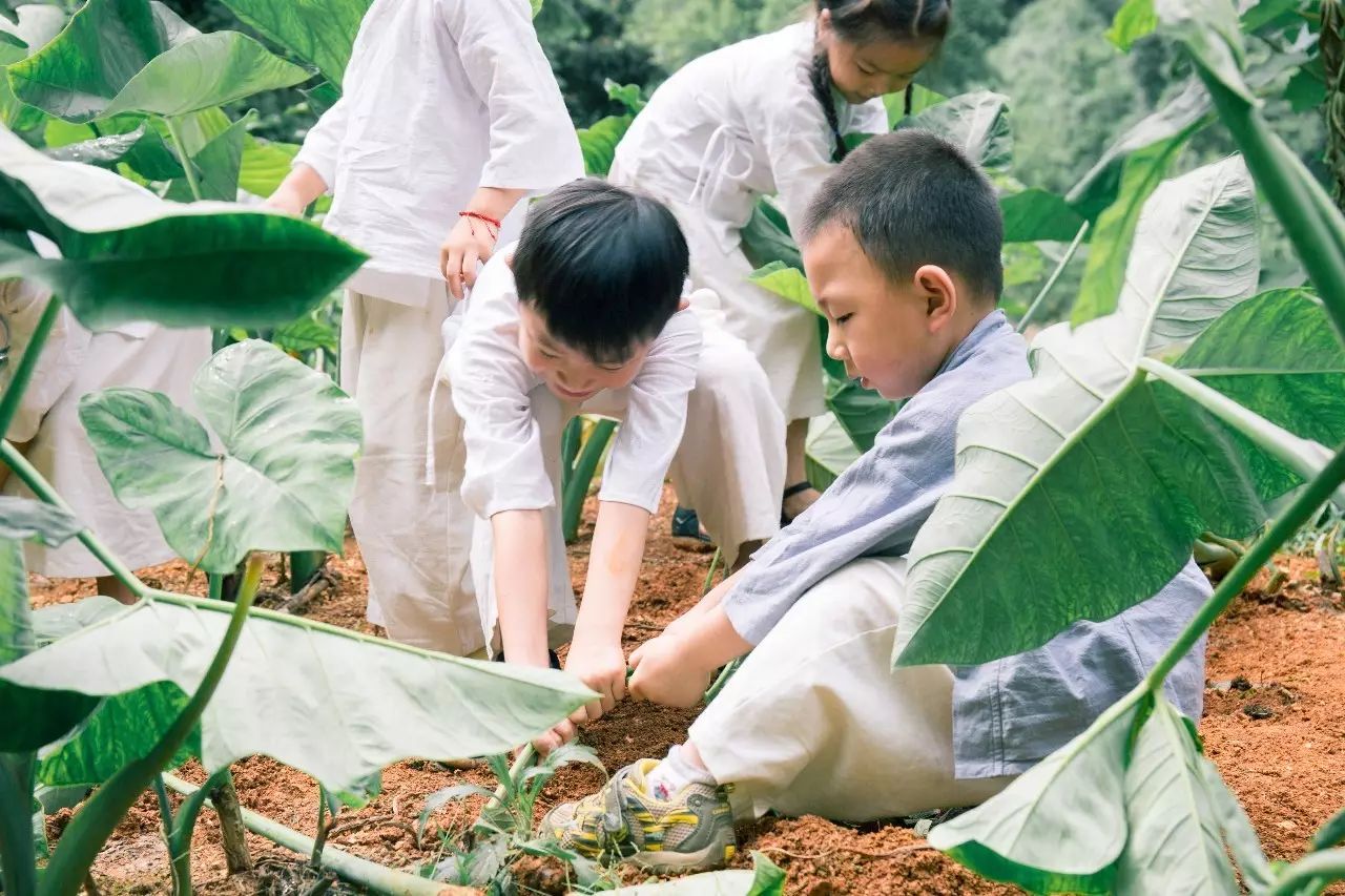 壩美·歸園，隱居聽心歸于自然盡享鄉(xiāng)村野趣