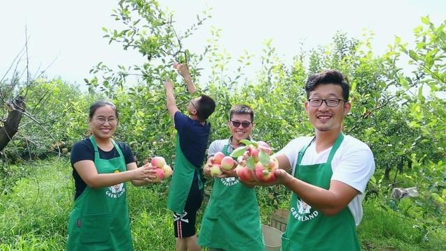 煙臺(tái)·極客客棧，歡迎每一顆想要逃離的心