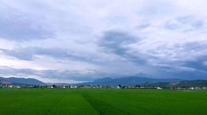 大理密嚴(yán)，繁花盛放找尋已久的內(nèi)心凈土