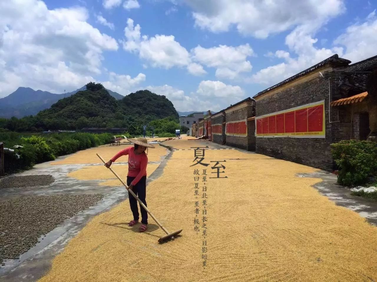 桃花壹號(hào)，靜下來(lái)品味生活最美的那一面