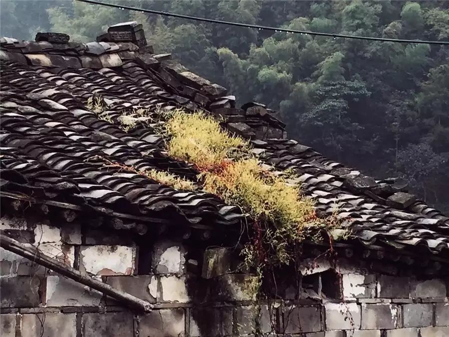 棲霞山居，溪流環(huán)繞在古村落捕魚看霞光