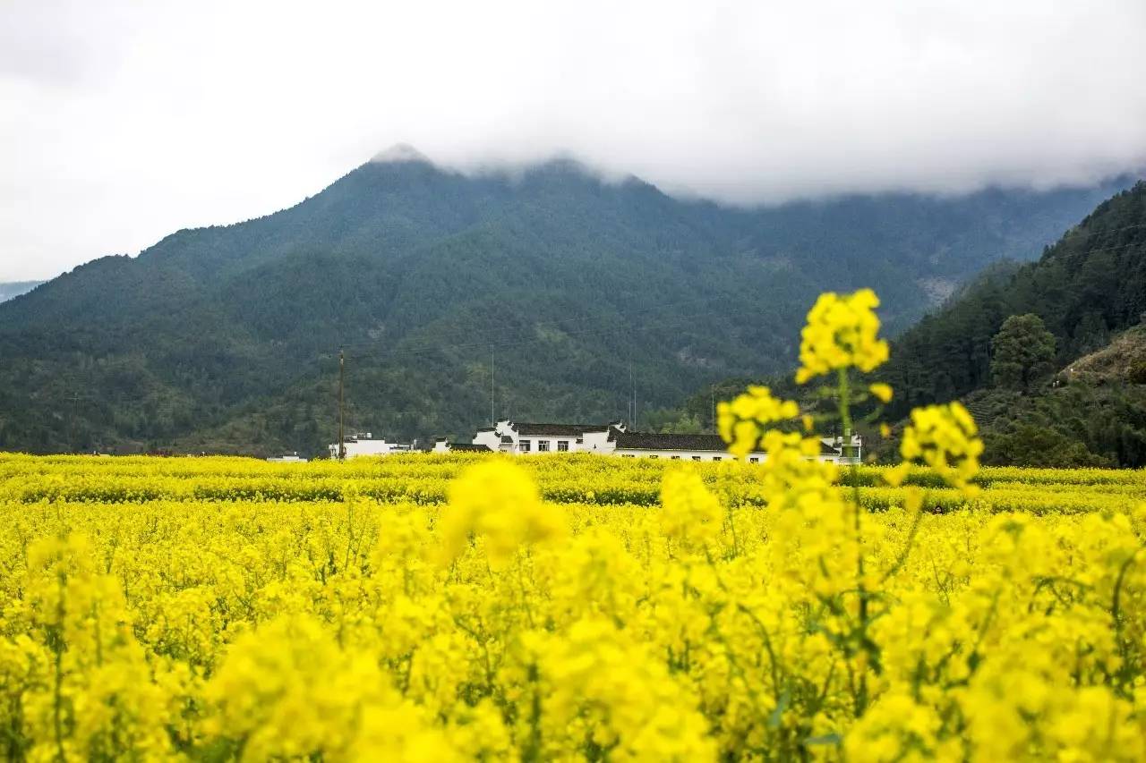 墅家墨娑西沖院，活了的老宅訴說舊日的時光