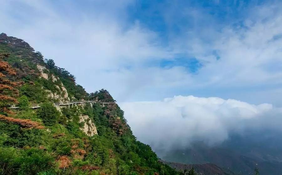 沂蒙山舍，呼吸大自然“臥聽(tīng)松嘯 伴山而眠”