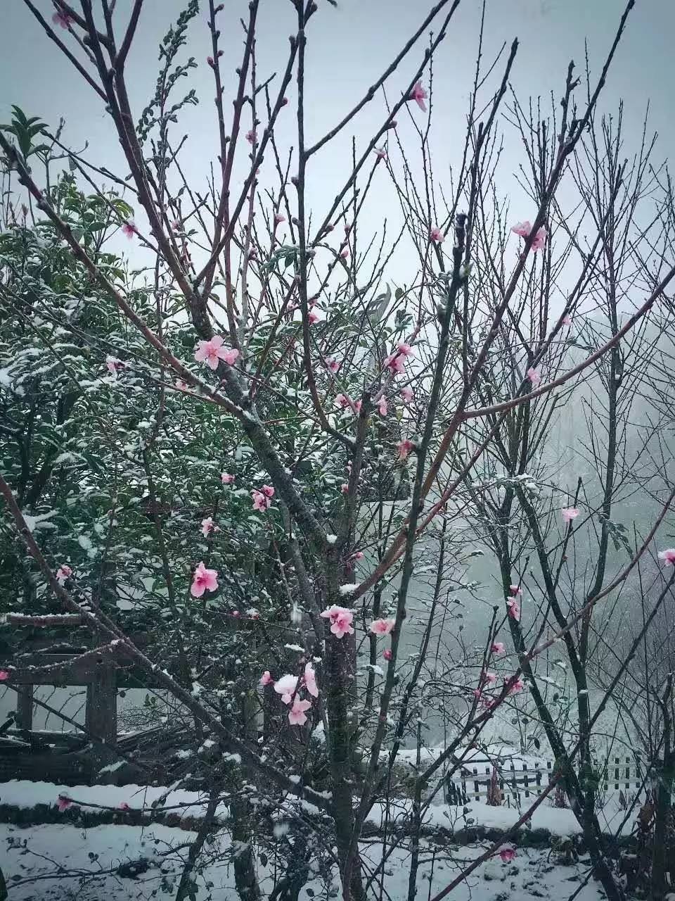 如隱·小佐居，半入溪水半入云