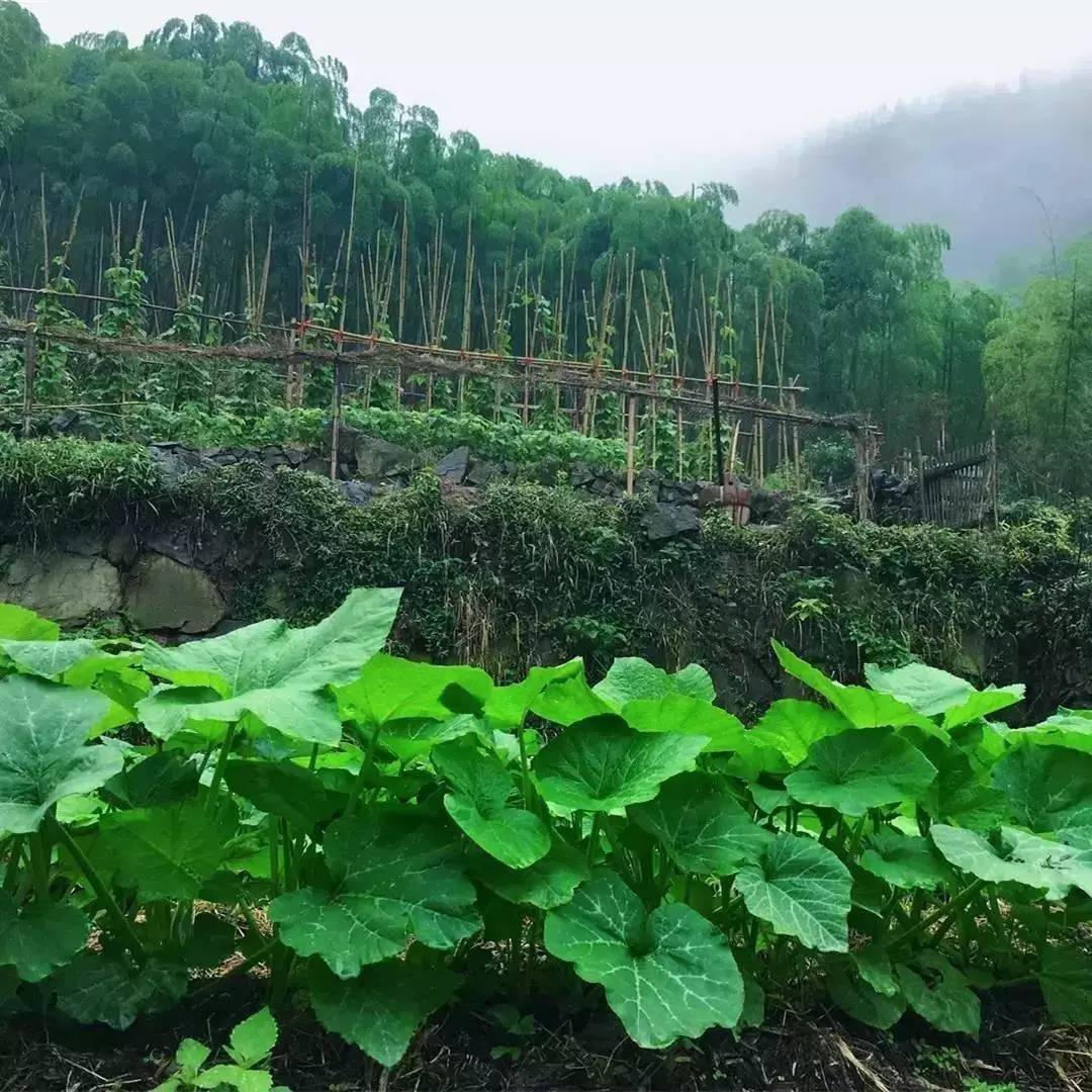 大樂之野·谷舍，擁有一個(gè)詩意的世界