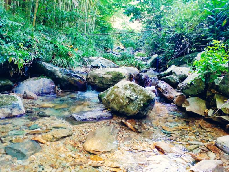 黃山云上民宿，看云卷云舒留住淳樸田園生活