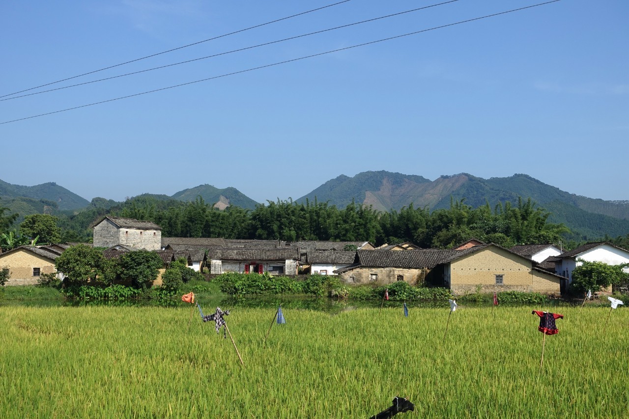 天堂山鄉(xiāng)愛樹民宿，古色古香的童話小鎮(zhèn)