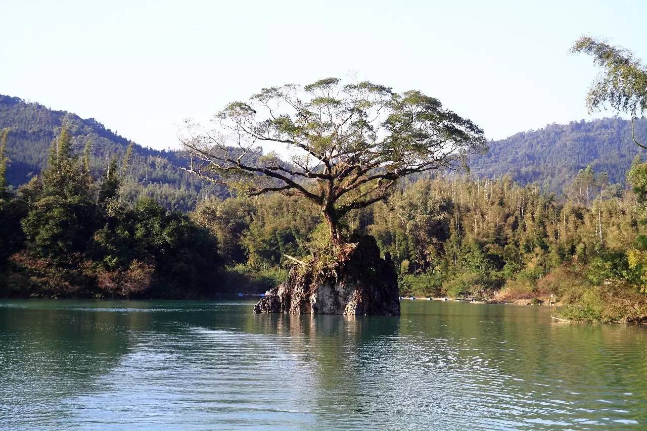 天堂山鄉(xiāng)愛樹民宿，古色古香的童話小鎮(zhèn)