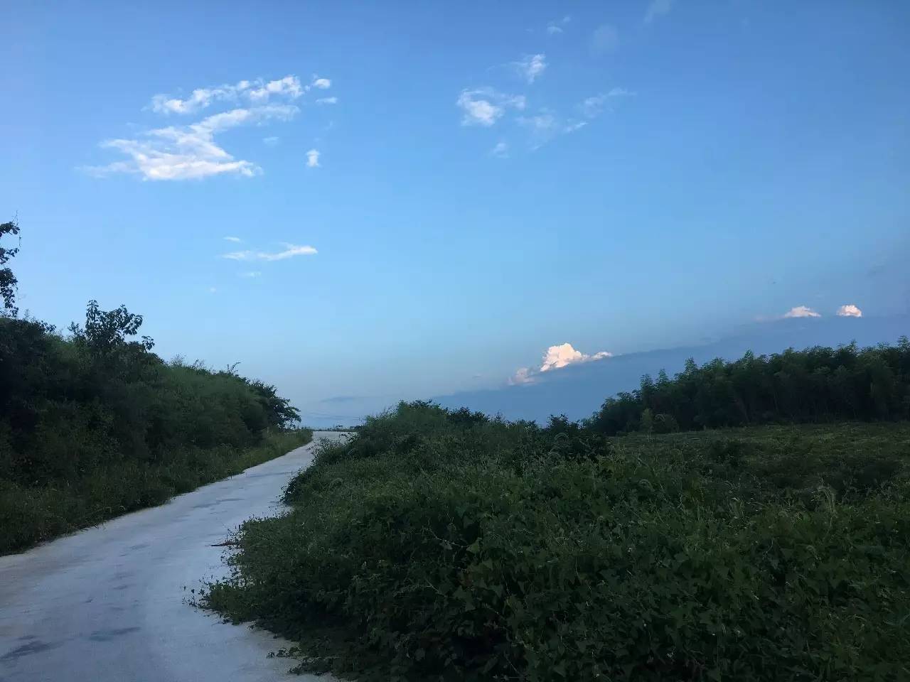 杭州山舍民宿，喝一壺茶聞桂花十里飄香