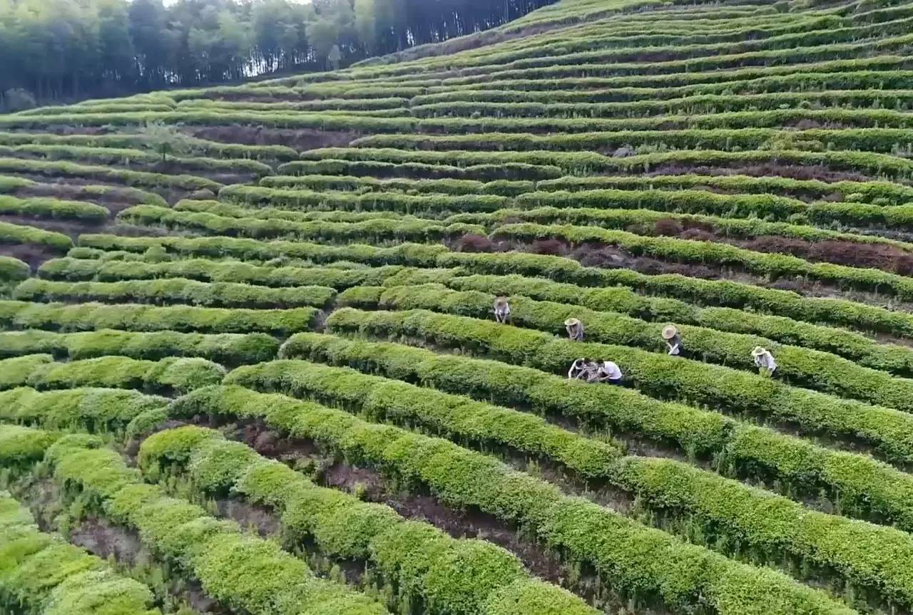 上虞陳溪鄉(xiāng)雪花谷民宿，在山谷里與自然相伴