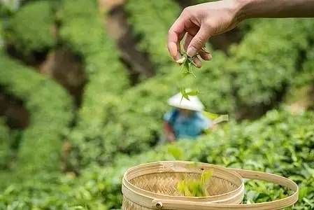 上虞陳溪鄉(xiāng)雪花谷民宿，在山谷里與自然相伴