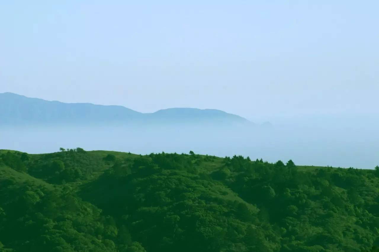 熹園茶宿，禪茶一宿悠然山水間