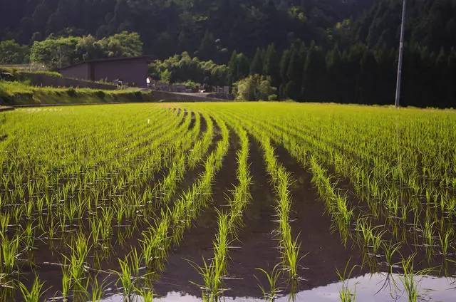 熹園茶宿，禪茶一宿悠然山水間