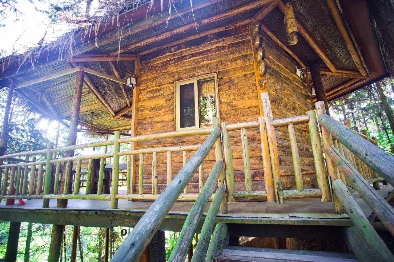 大來山樹屋民宿，喚醒古老村莊留住青山綠水