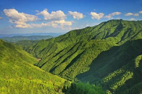 竹里云溪民宿設(shè)計，回歸田園