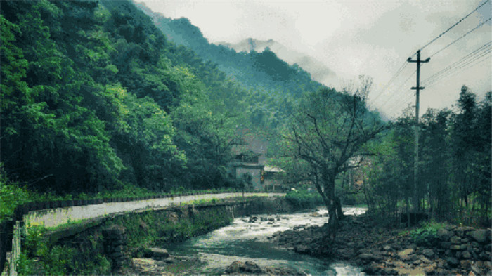 臨安太湖源鎮(zhèn)魚樂(lè)山房