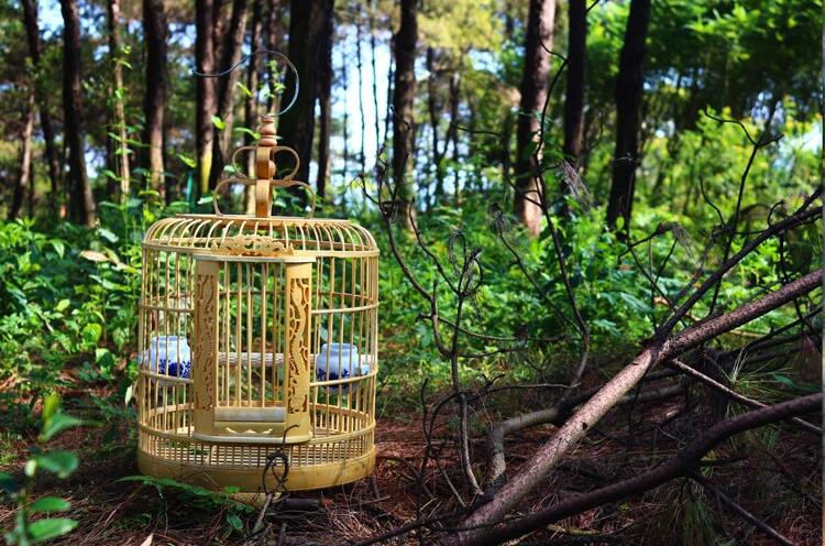 鏤空雕刻龍竹制鳥籠