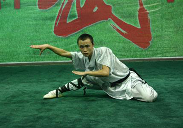 中華武術(shù)：蛇拳