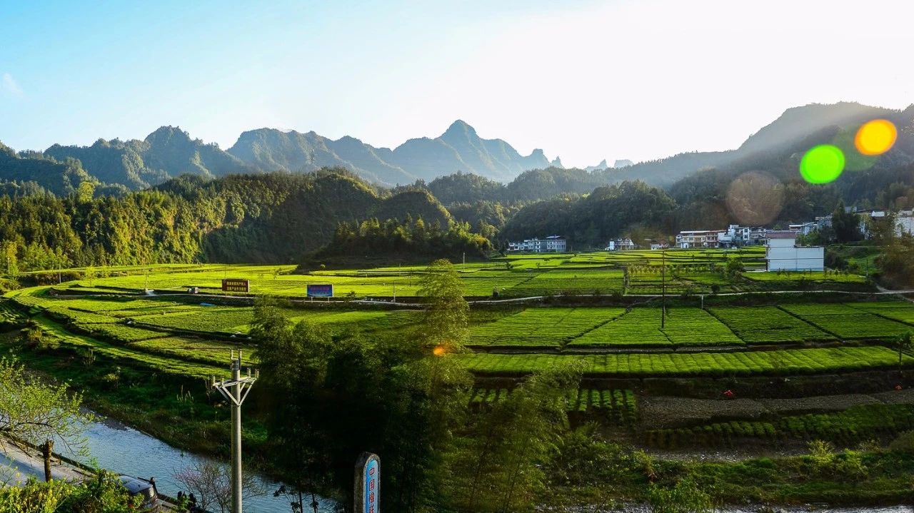 避暑游玩攻略：給這個炎熱夏日一抹清涼的景色