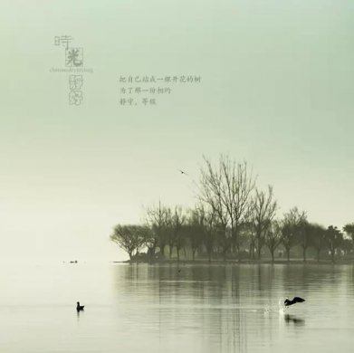 風(fēng)景攝影作品時(shí)光靜好：邛海景色！