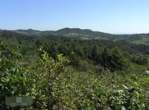 長白山余脈在昌圖，三省交界風(fēng)景最美地