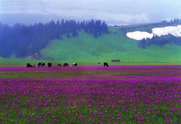 中國最美麗的地方：祖國大好山河風(fēng)景