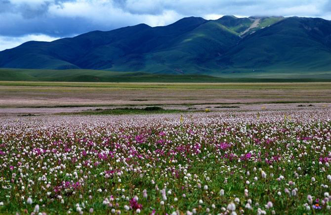 中國最美麗的地方：祖國大好山河風(fēng)景