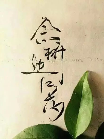 別致新穎的書(shū)法字體，美的很有意境！